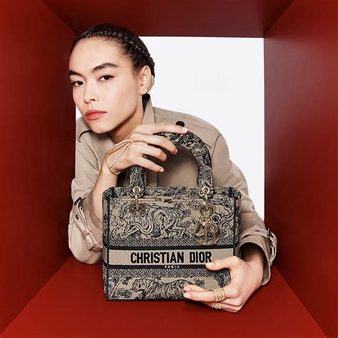 dior toat bag|most popular christian dior bag.